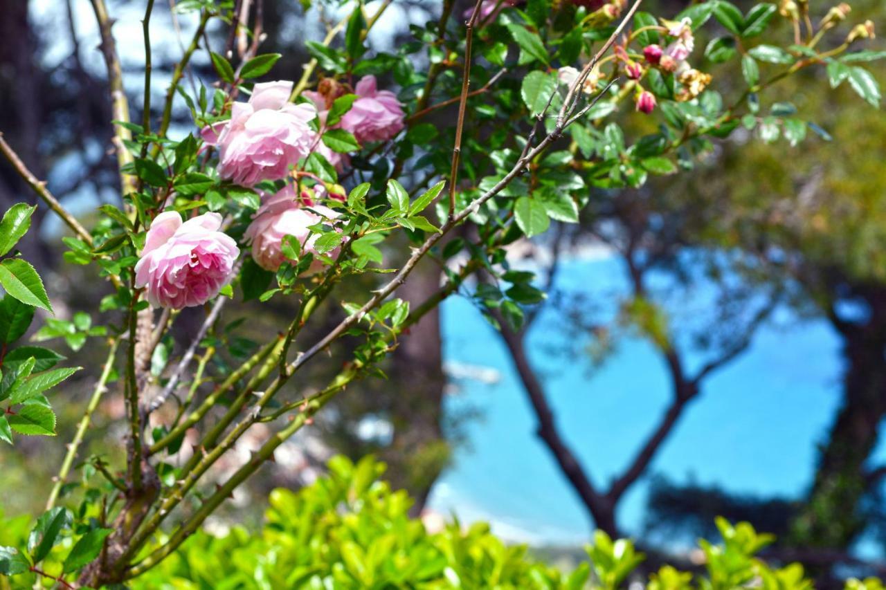 Torre Alpicella Holiday Home, A Scenic Escape Into Nature And Relaxation Diano Marina Ngoại thất bức ảnh